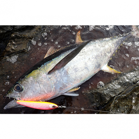 Без имени-12.jpg